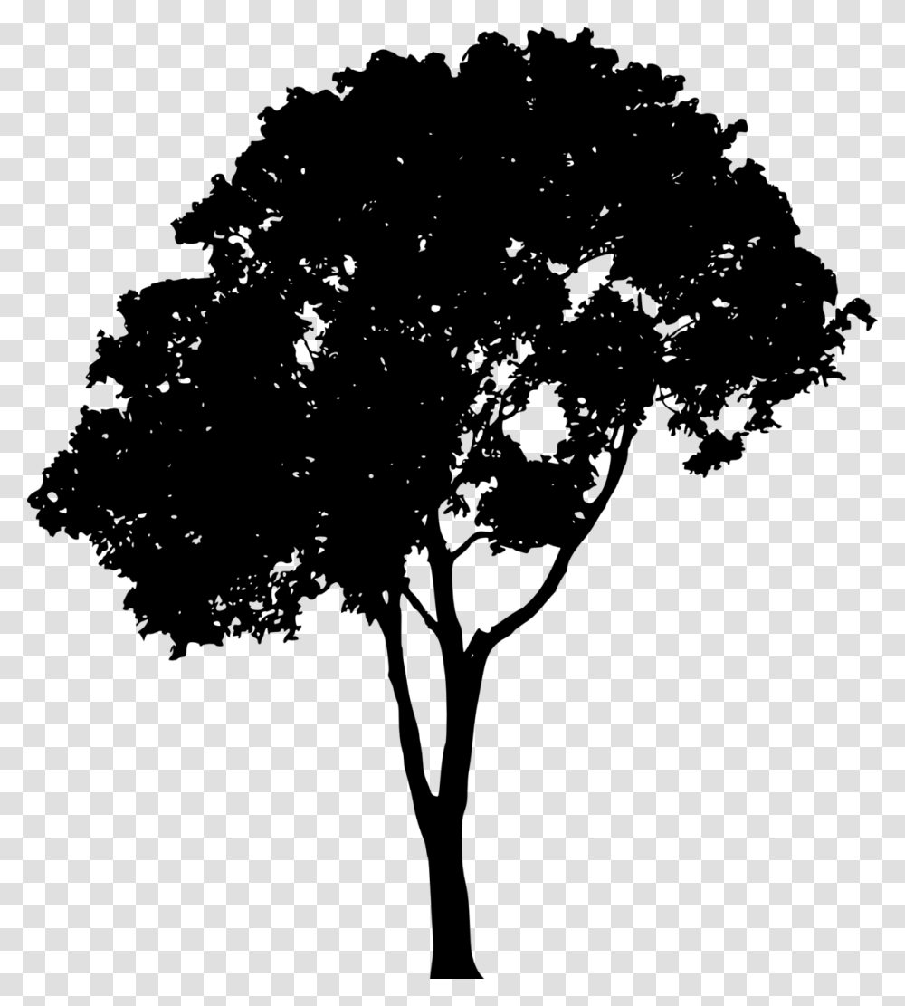 Silhouette Images Trees Vector Free, Gray, World Of Warcraft Transparent Png