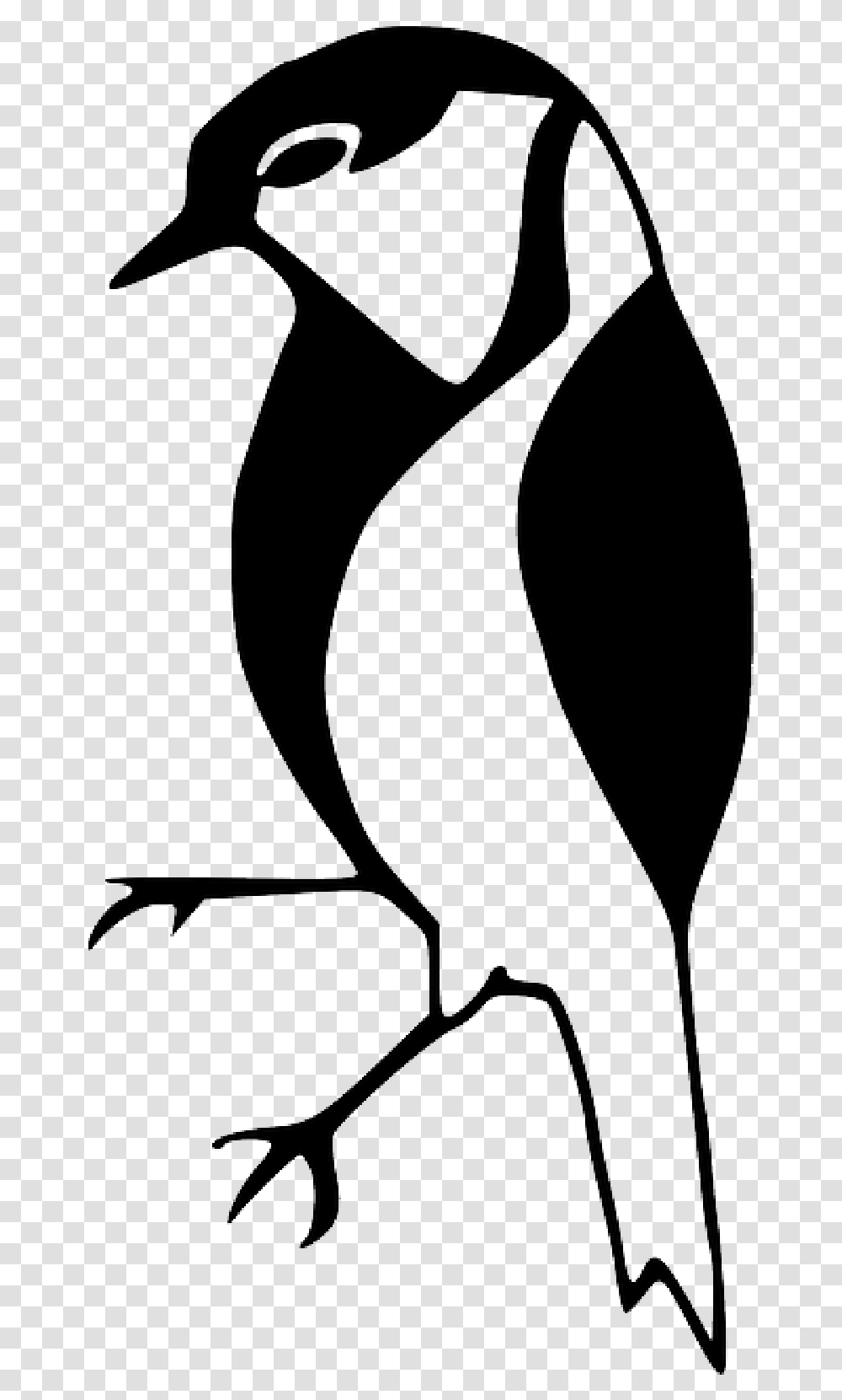 Silhouette Little Bird Wings Beak Feathers Black And White Image Bird, Animal, Bow, Pet, Mammal Transparent Png