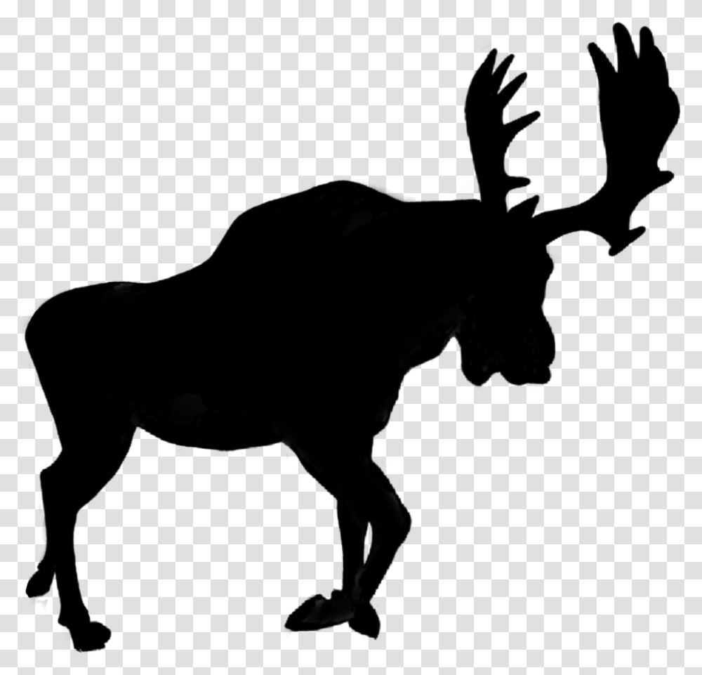 Silhouette Moose Horns Shadow Animal Antlers Horse Clip Art Silhouette, Gray, World Of Warcraft Transparent Png