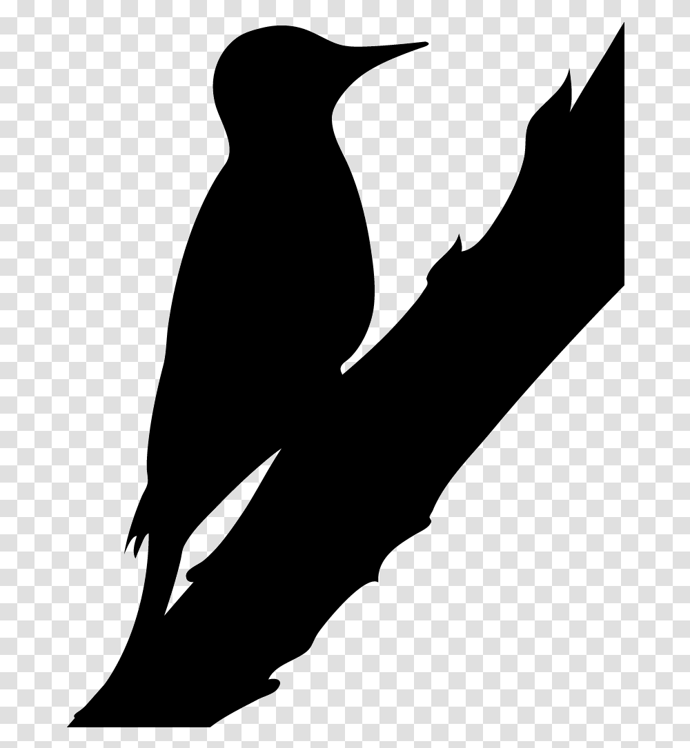 Silhouette Northern Flicker Clipart Northern Flicker Silhouette, Cat, Pet, Mammal, Animal Transparent Png
