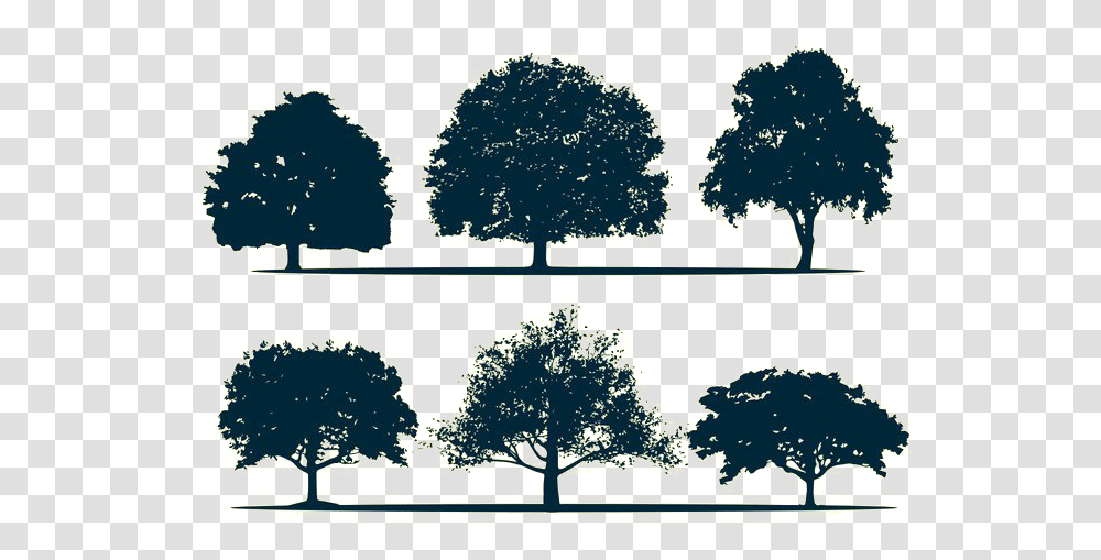 Silhouette Oak Tree Architecture Tree Silhouette, Label, Plant, Pattern Transparent Png