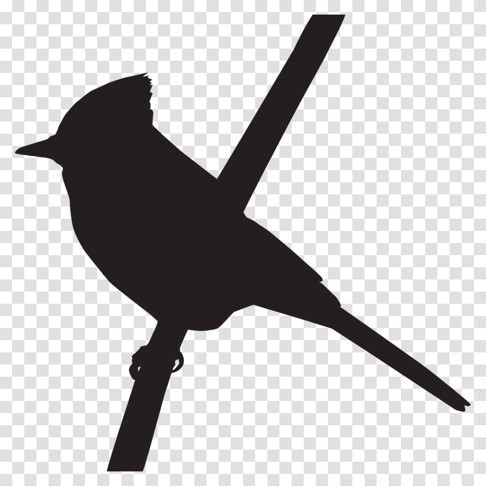 Silhouette Of A Blue Jay, Animal, Bird, Blackbird, Agelaius Transparent Png