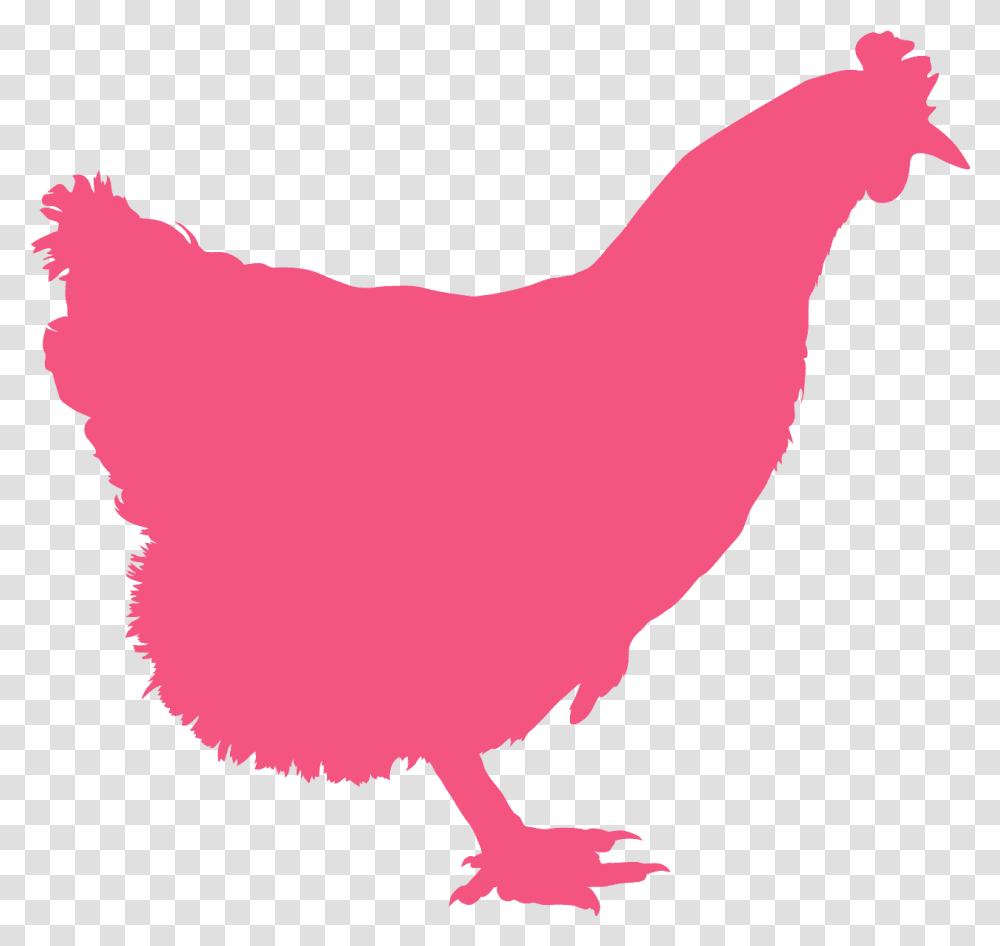 Silhouette Of A Chickens Grey, Hen, Poultry, Fowl, Bird Transparent Png