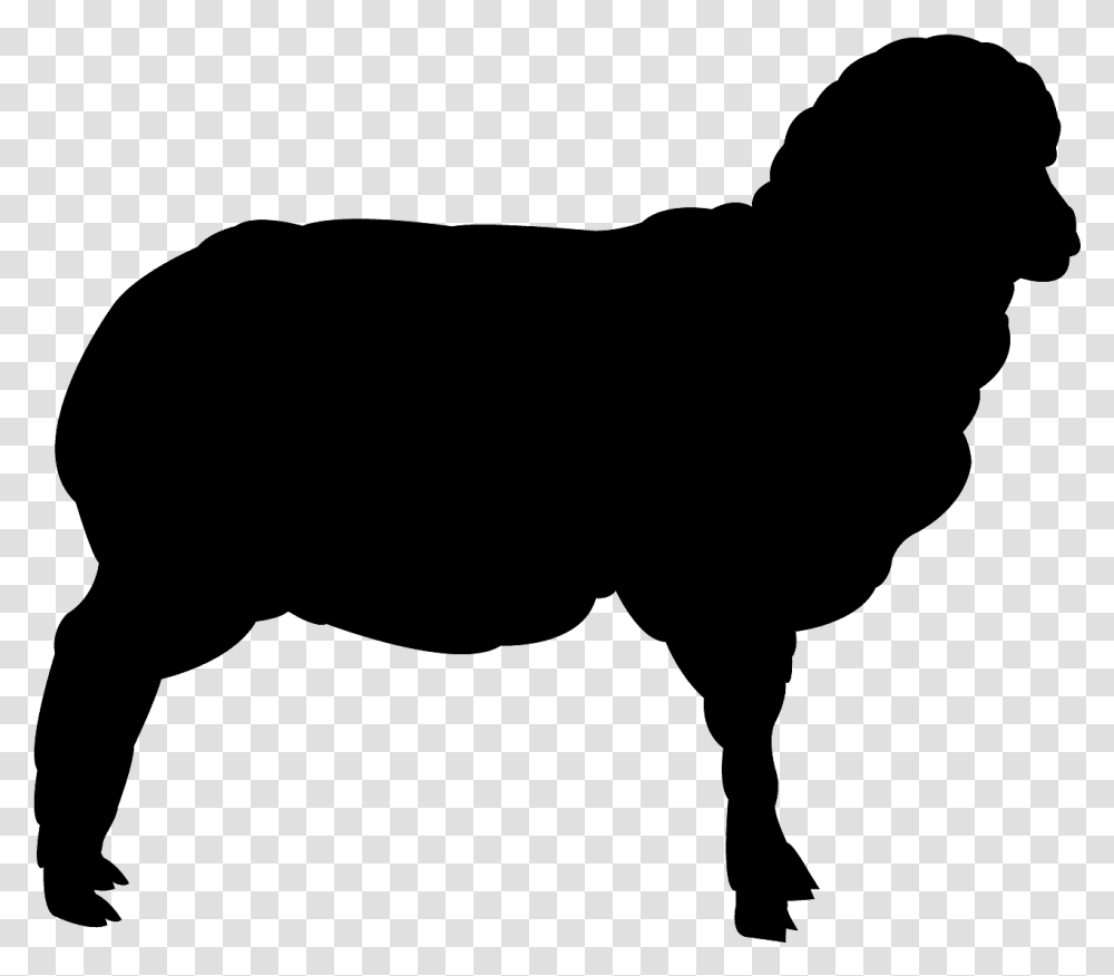 Silhouette Of A Donkey, Gray, World Of Warcraft Transparent Png