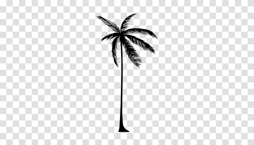 Silhouette Of A Palm Tree, Plant, Arecaceae, Bow Transparent Png