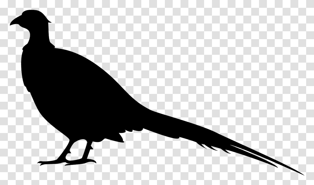 Silhouette Of A Pheasant, Gray, World Of Warcraft Transparent Png