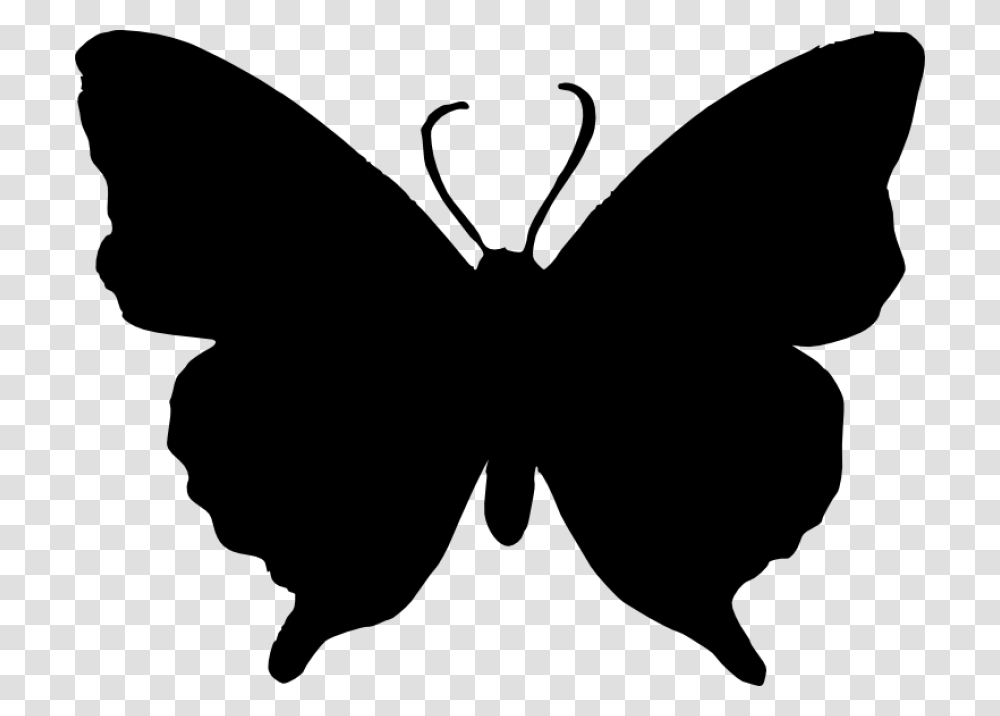Silhouette Of Butterfly, Stencil, Pattern, Animal, Insect Transparent Png