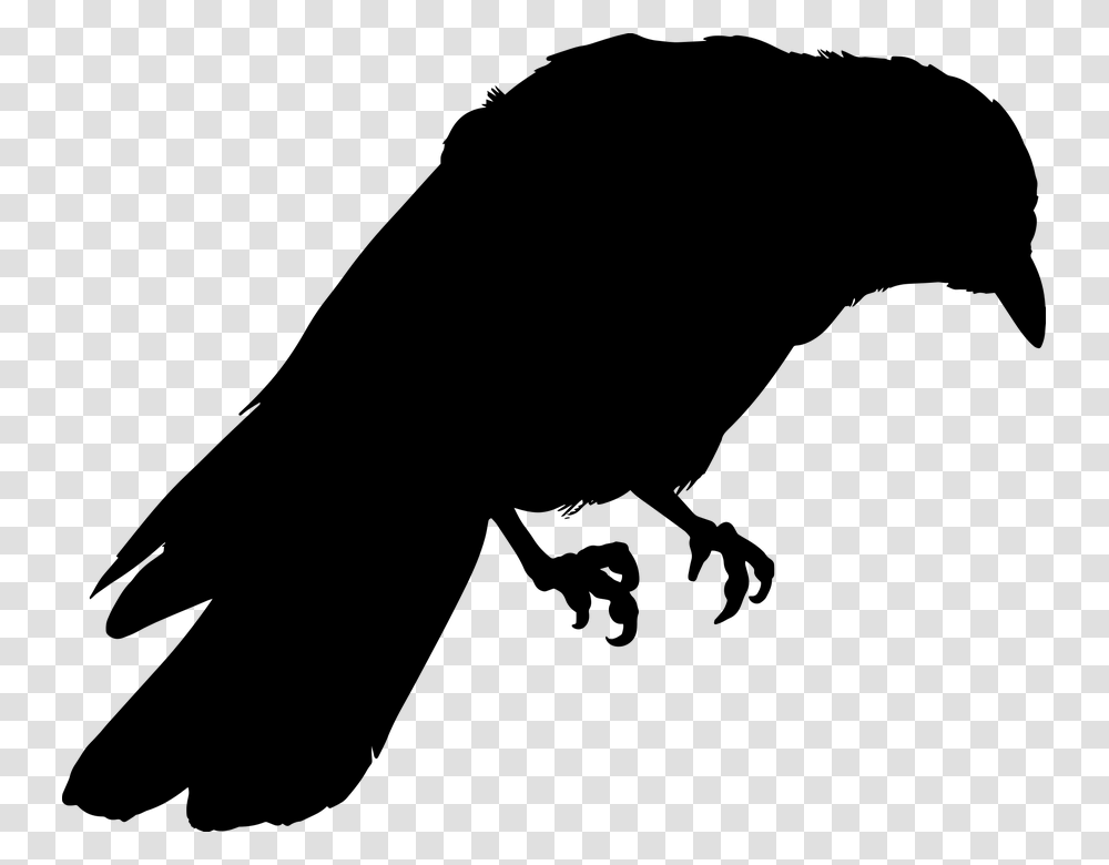 Silhouette Of Crow, Gray, World Of Warcraft Transparent Png