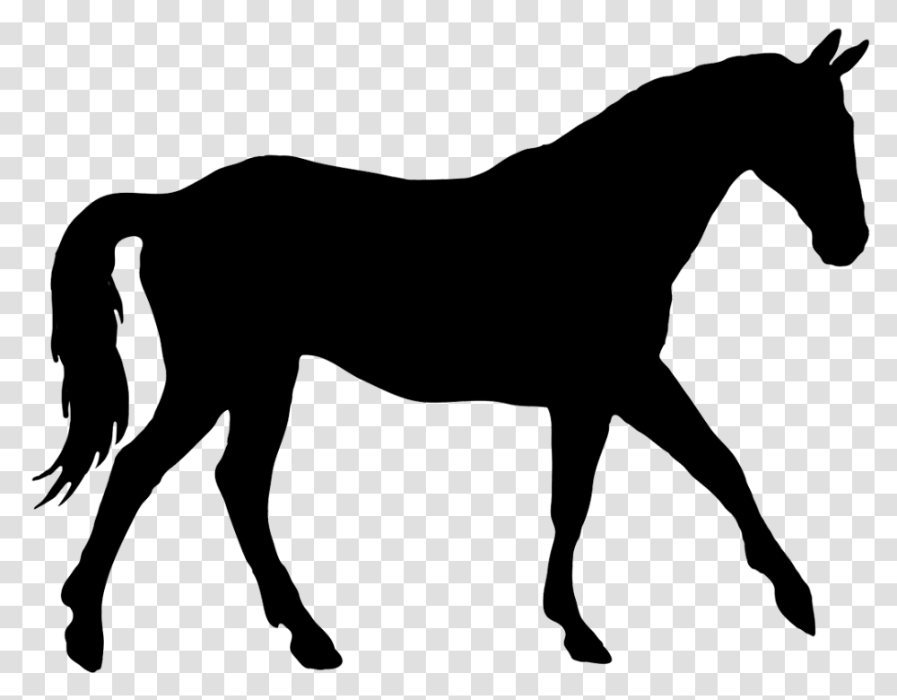 Silhouette Of Elegant Horse Trotting Horse Silhouette, Mammal, Animal, Colt Horse, Foal Transparent Png