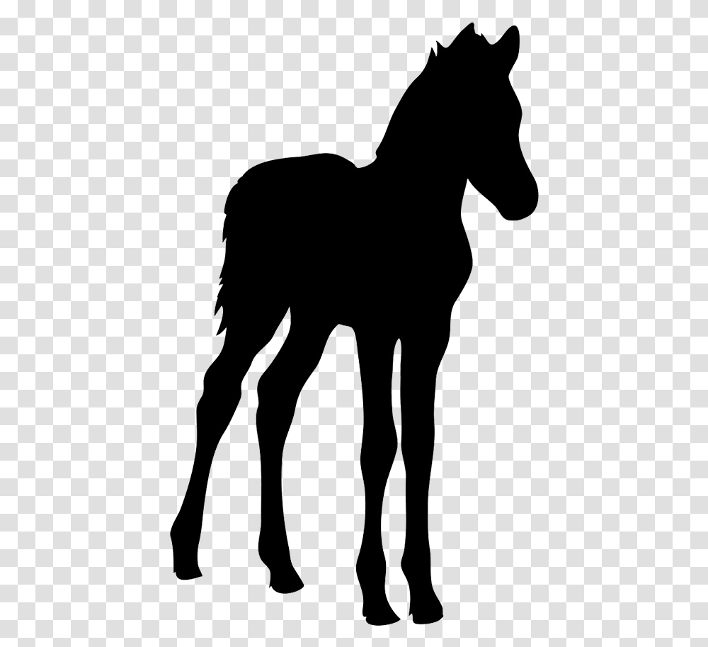 Silhouette Of Foal Foal Silhouette, Mammal, Animal, Horse, Cow Transparent Png