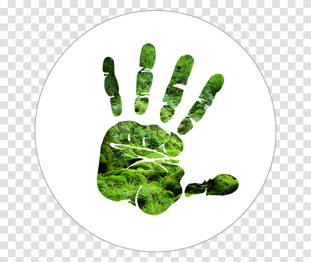Silhouette Of Hand Over Forest Scene Hand Print Clipart, Plant, Outdoors, Green, Nature Transparent Png