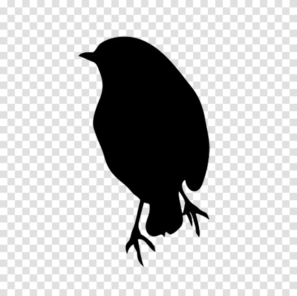 Silhouette Of Robin A Silhoette Silhouette, Bird, Animal, Blackbird, Agelaius Transparent Png
