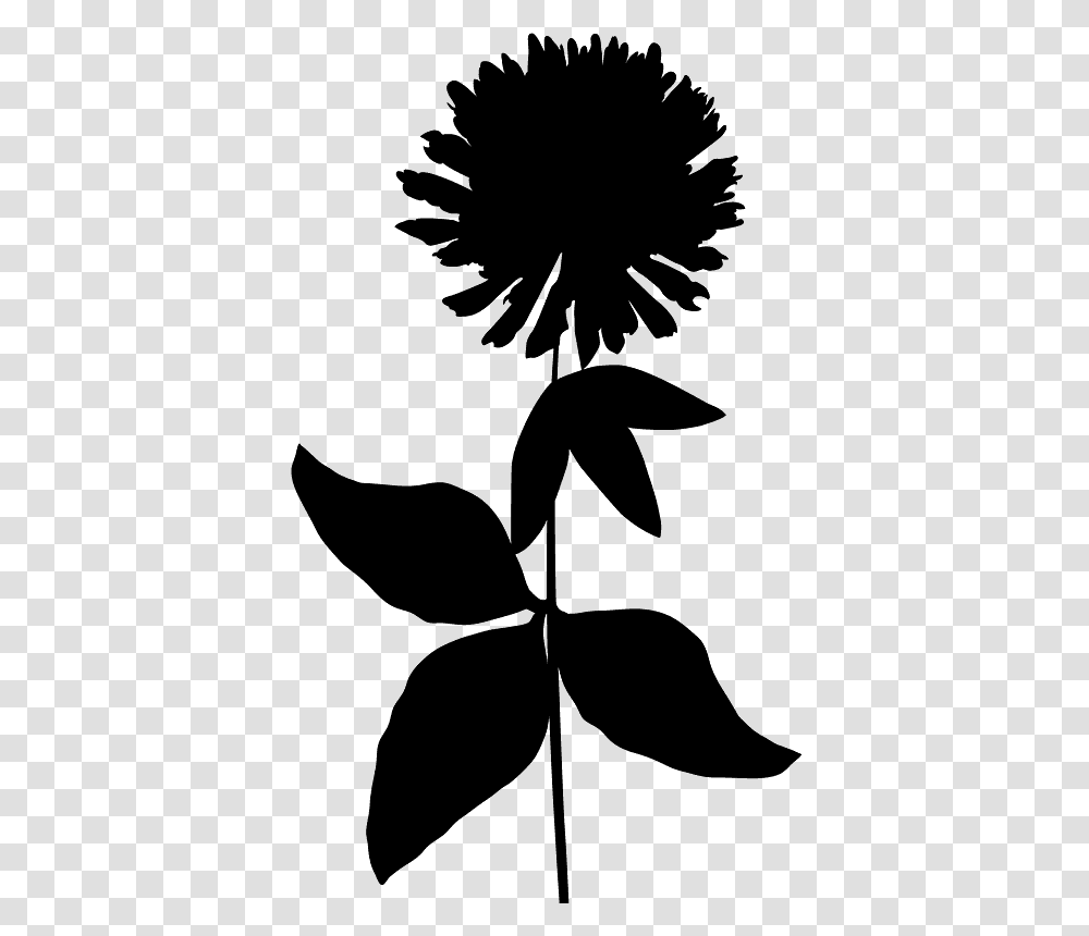 Silhouette Outline Of Flower, Leaf, Plant, Stencil, Person Transparent Png