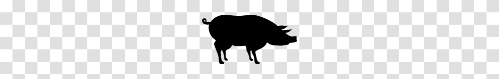 Silhouette Outline Shadow Black Pig Sideways Cute, Gray, World Of Warcraft Transparent Png