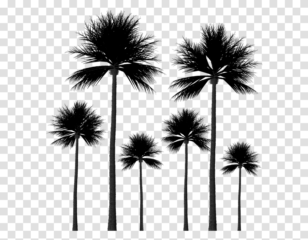 Silhouette Palm Trees Tree Silhouette Scrapbook Palm Trees Background, Architecture, Building, Lighting, Pillar Transparent Png