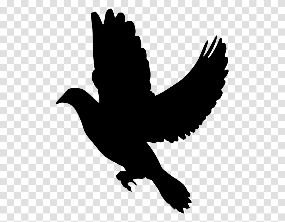 Silhouette Peace Dove Flying Olive Branch Symbol Black Dove, Gray, World Of Warcraft Transparent Png