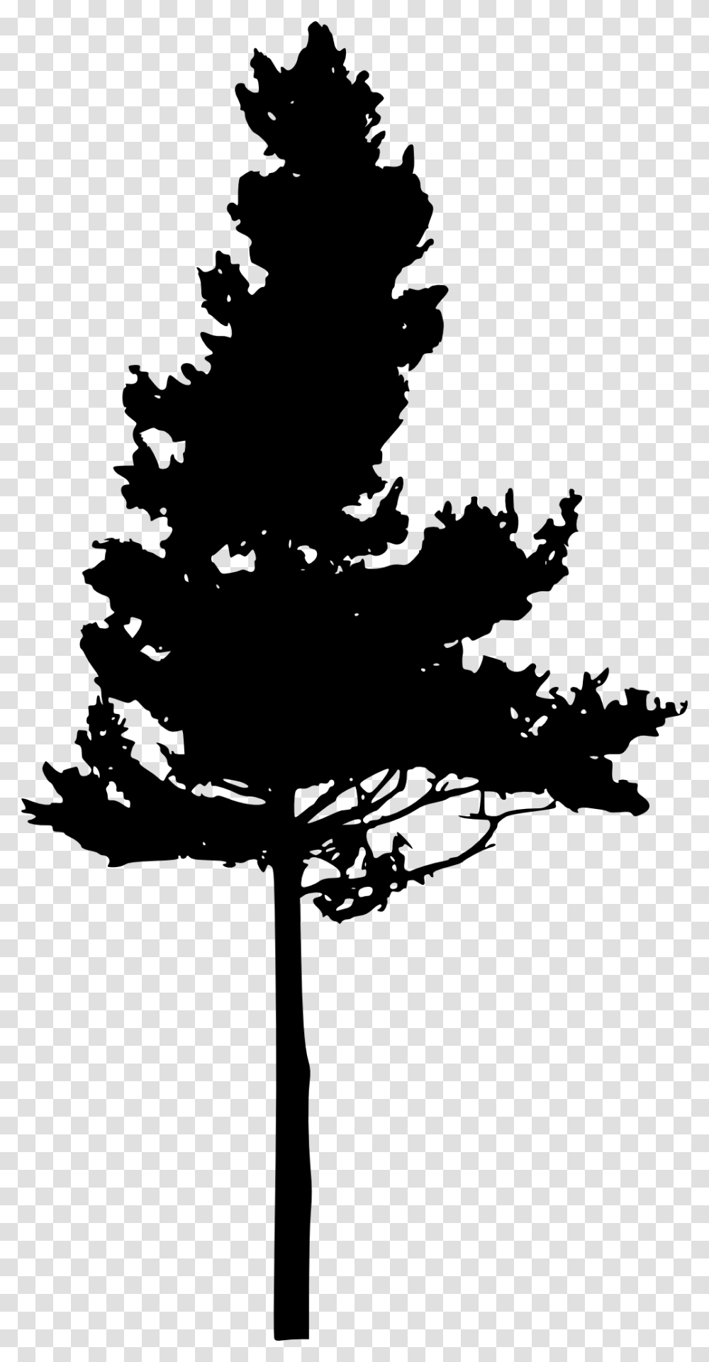 Silhouette Pine Clip Art Hemlock Tree Clipart, Plant, Stencil, Leaf Transparent Png