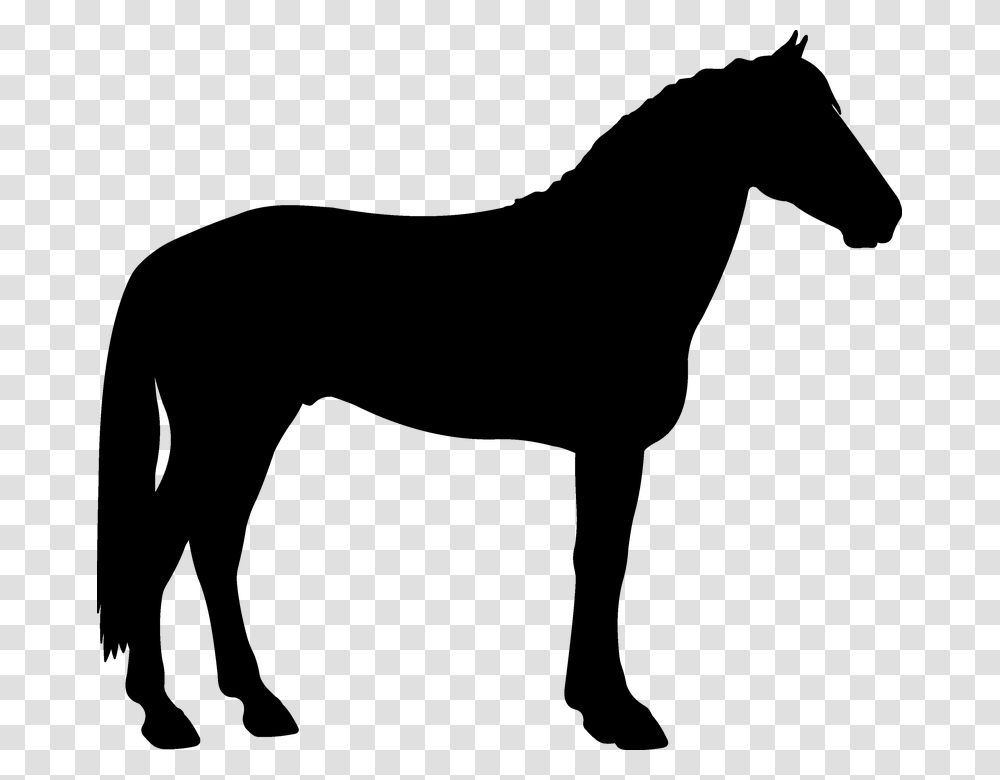 Silhouette Saddle Horse Black Horse One Leg Up, Gray, World Of Warcraft Transparent Png