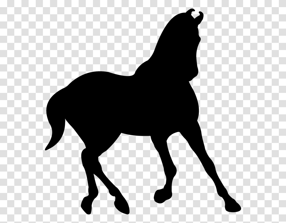 Silhouette Saddle Horse Black Trot Stallion, Gray, World Of Warcraft Transparent Png