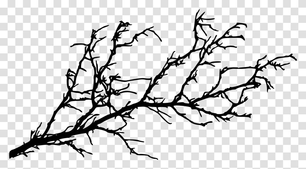 Silhouette Tree Branch At Getdrawings Tree Branch Silhouette, Leaf, Plant, Flower, Blossom Transparent Png