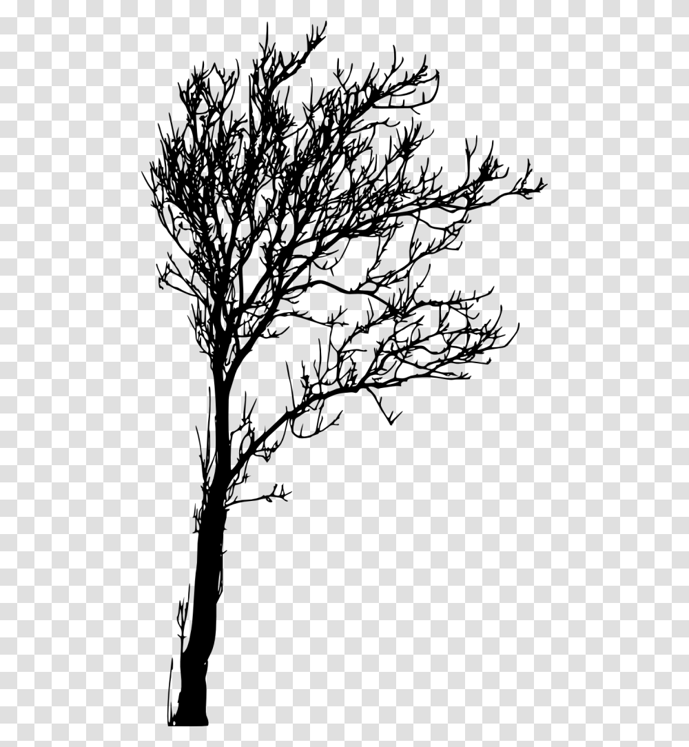 Silhouette Tree Images, Gray, World Of Warcraft Transparent Png