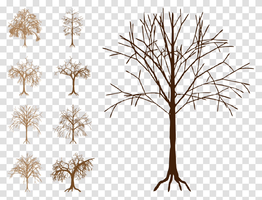 Silhouette Tree Trunk Clip Art Free Dead Tree Vector, Plant, Root Transparent Png
