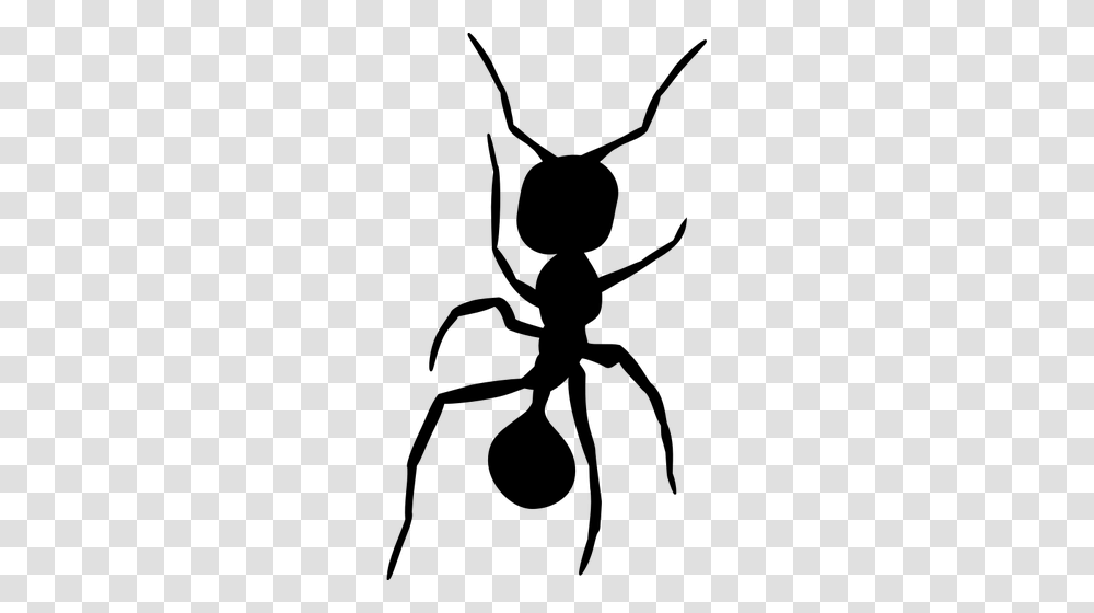 Silhouette Vector Clip Art Of Ant Insect, Gray, World Of Warcraft Transparent Png