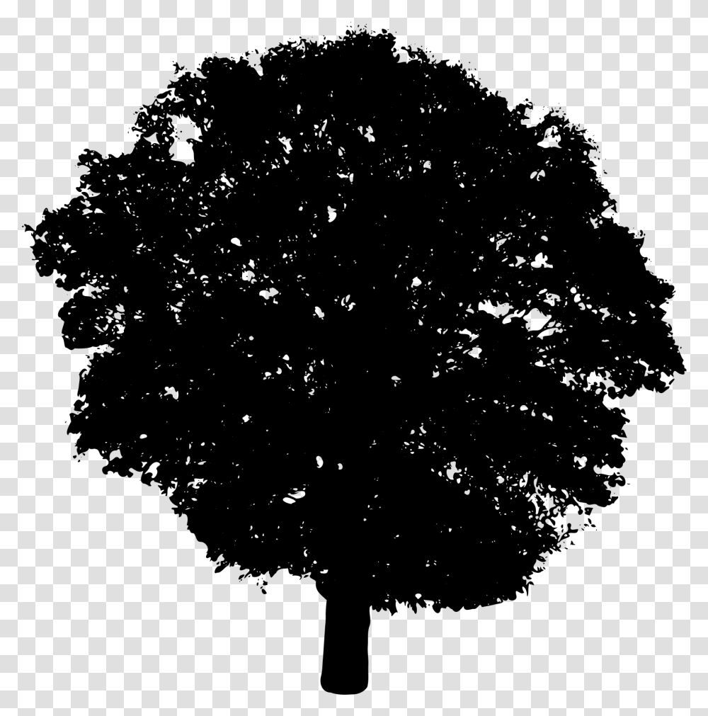 Silhouette Vector Image Of A Layered Tree Top Bush Silhouette Background, Gray, World Of Warcraft Transparent Png