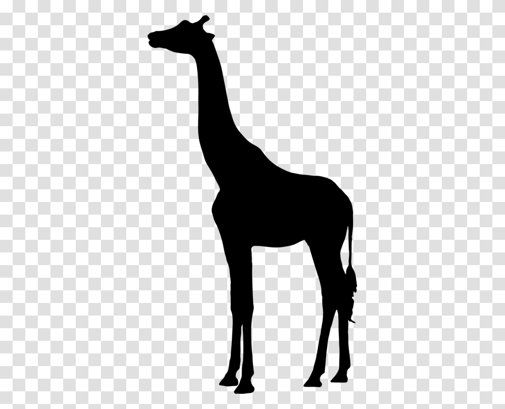 Silhouette West African Giraffe Northern Giraffe Mammal Free, Gray, World Of Warcraft Transparent Png