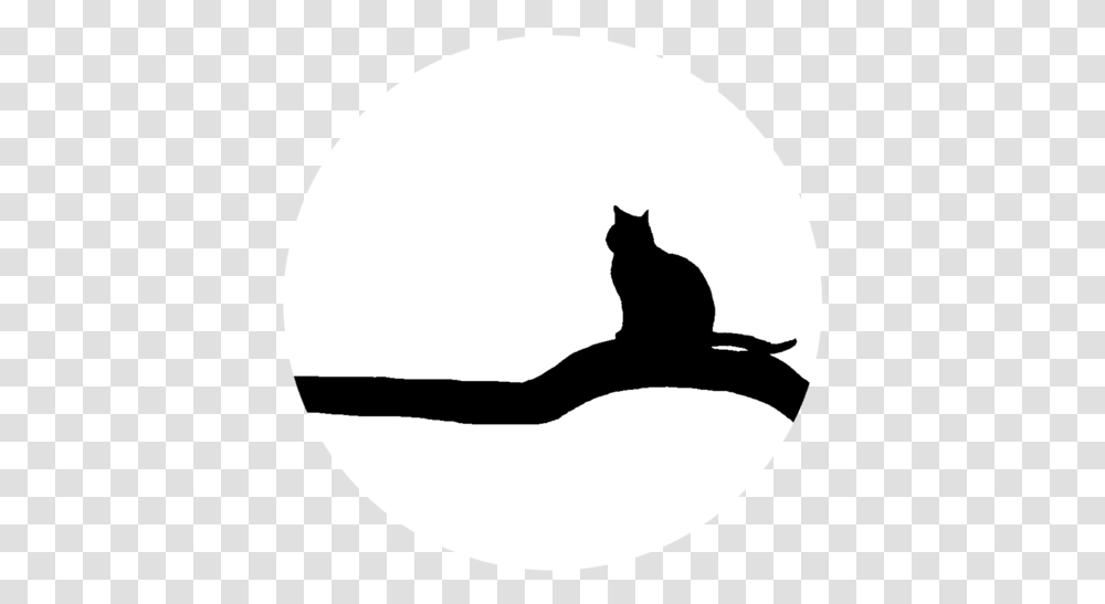 Silhouettefelidaecat Cat Yawns, Stencil, Pet, Mammal, Animal Transparent Png