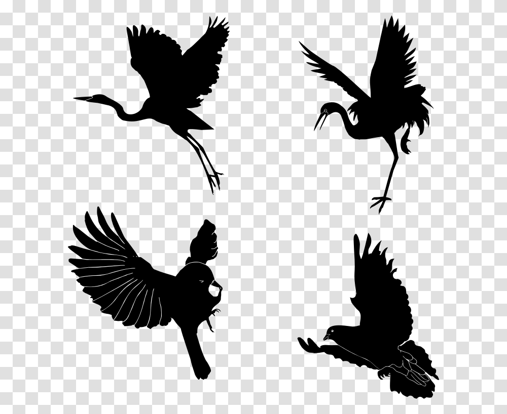 Silhouettemonochrome Photographybird Photography, Gray, World Of Warcraft Transparent Png