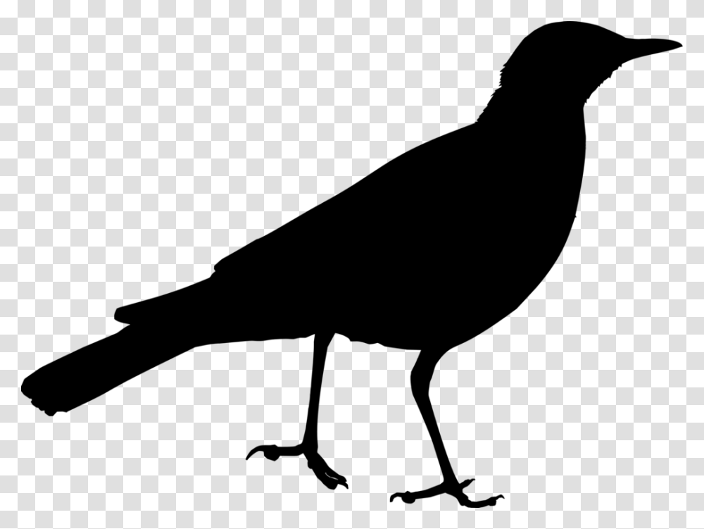 Silhouettemonochrome Photographycrow Clip Art, Gray, World Of Warcraft Transparent Png