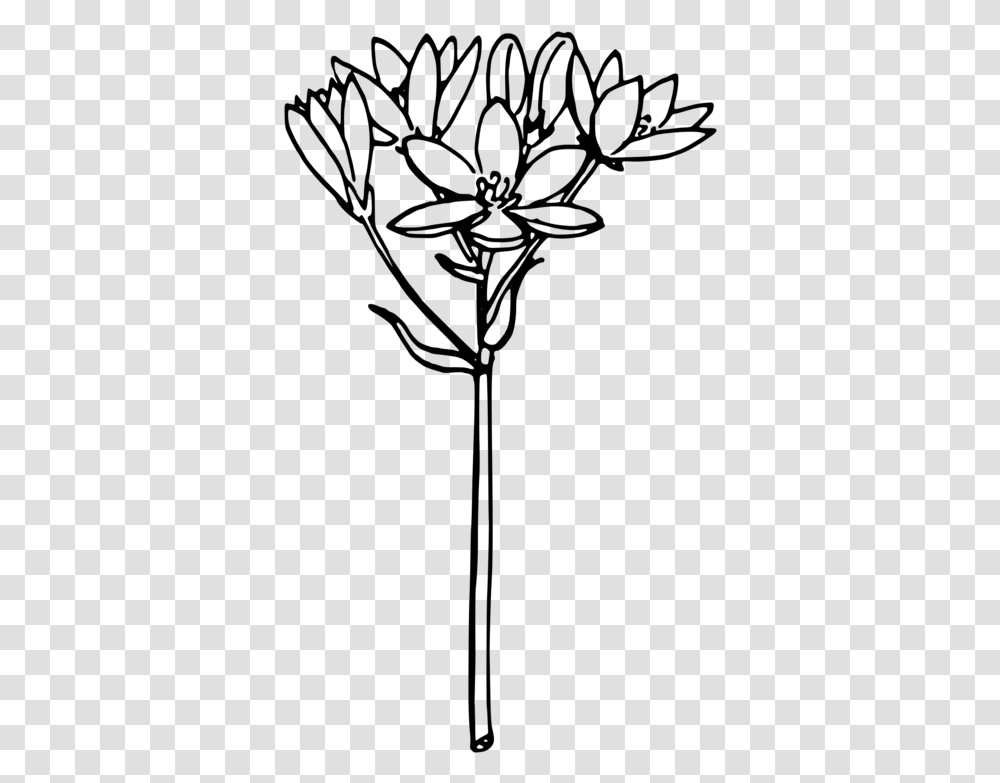 Silhouettes Star Of Bethlehem Flower, Gray, World Of Warcraft Transparent Png