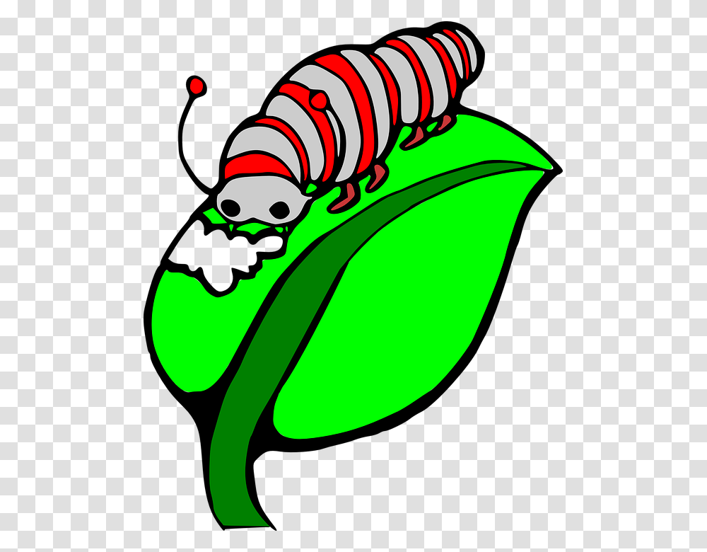 Silk Clipart Butterfly Larva, Animal, Invertebrate, Sea Life Transparent Png