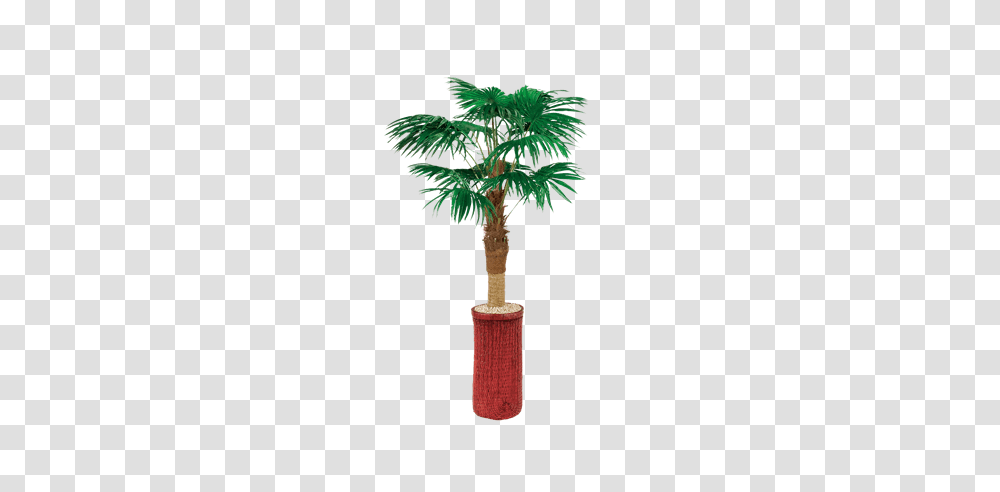 Silk Trees For Rent Home Office Furniture Rental Brook, Plant, Palm Tree, Arecaceae Transparent Png