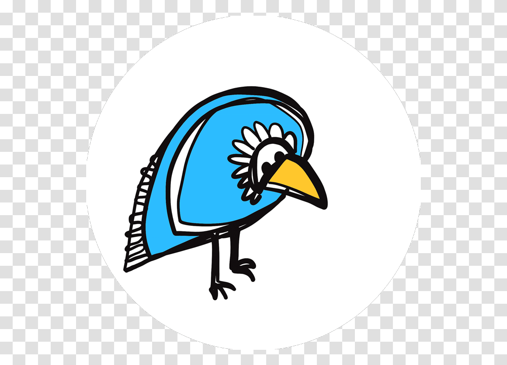 Silly Myths Projects Photos Videos Logos Illustrations Flightless Bird, Jay, Animal, Blue Jay, Finch Transparent Png