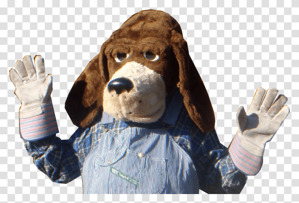 Silly String Basset Hound, Person, Human, Toy, Doll Transparent Png