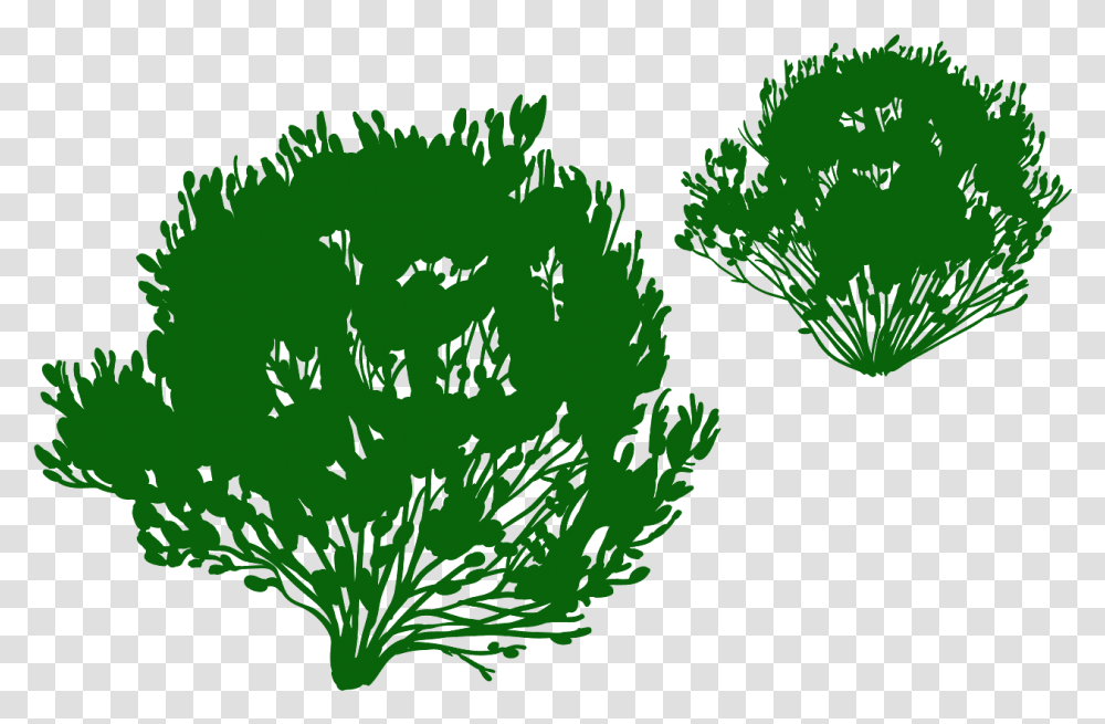 Silueta Arbusto En, Green, Bush, Vegetation, Plant Transparent Png