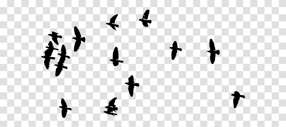 Silueta Aves Pajaros Freetoedit Flock Of Birds, Nature, Outdoors, Astronomy, Outer Space Transparent Png