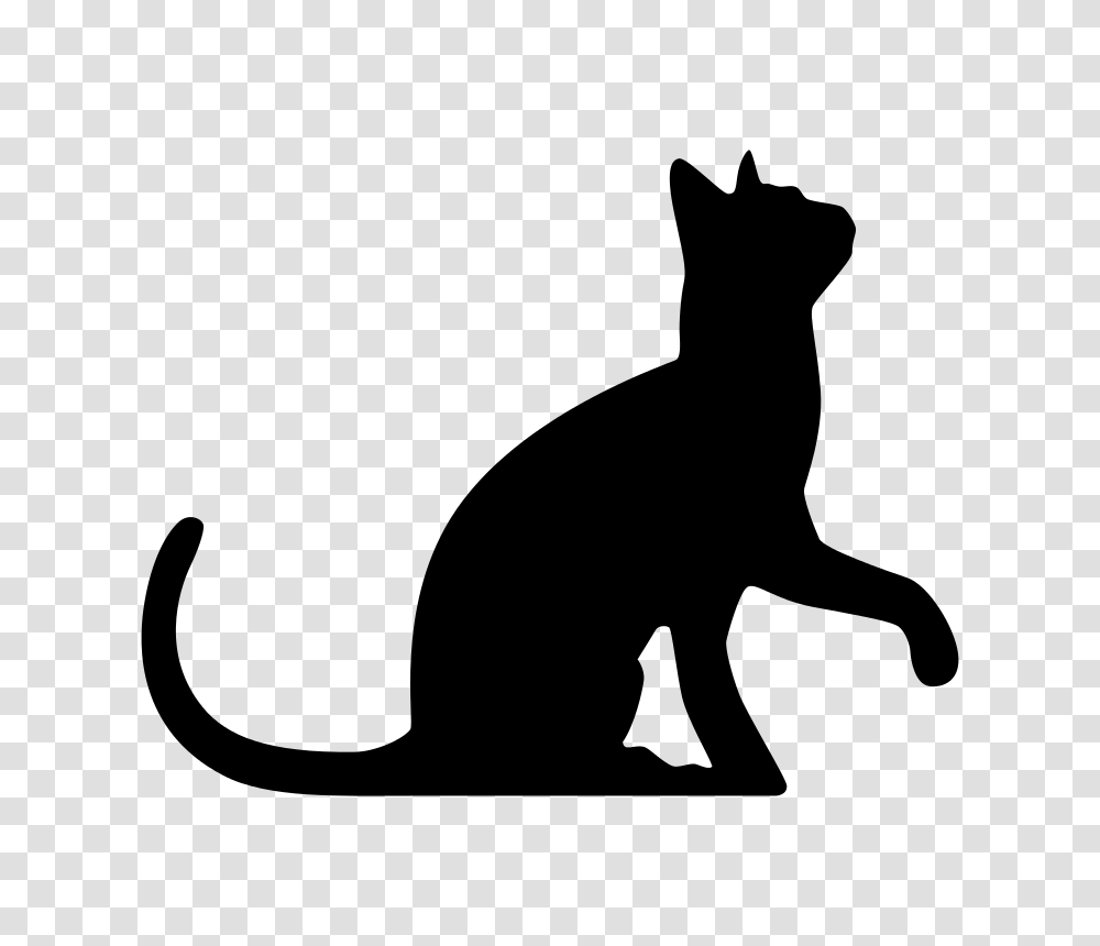 Silueta De Gato Image, Gray, World Of Warcraft Transparent Png