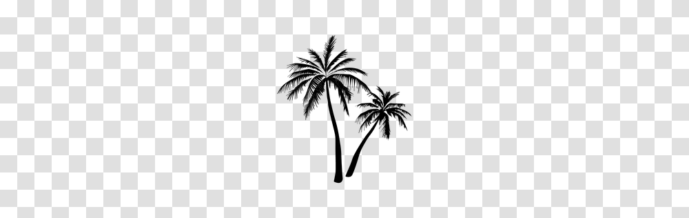 Silueta De La Palmera Negra Beach Beach, Palm Tree, Plant, Arecaceae Transparent Png