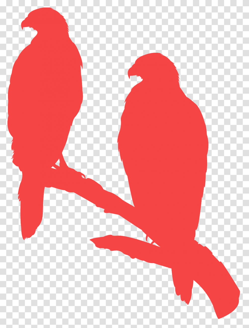 Siluetas De Aves Rapaces, Animal, Bird, Cupid Transparent Png