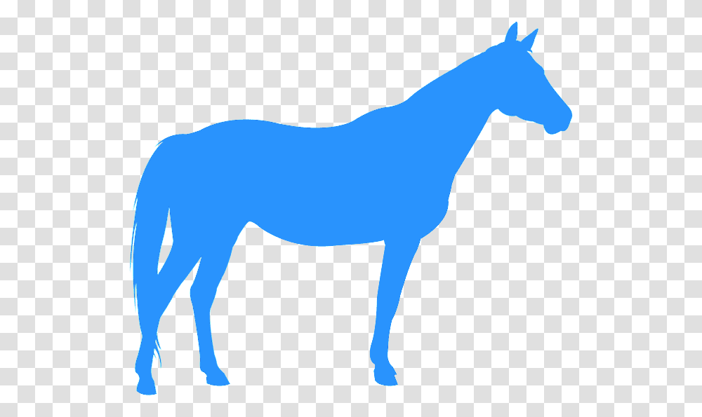 Siluetas De Cavalo Quarto De Milha, Horse, Mammal, Animal, Foal Transparent Png
