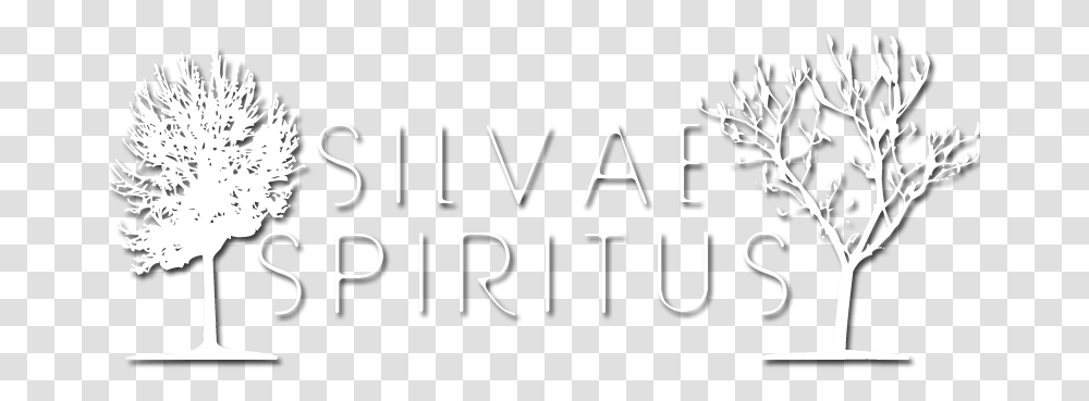 Silvae Spiritus Tree, Word, Label, Alphabet Transparent Png