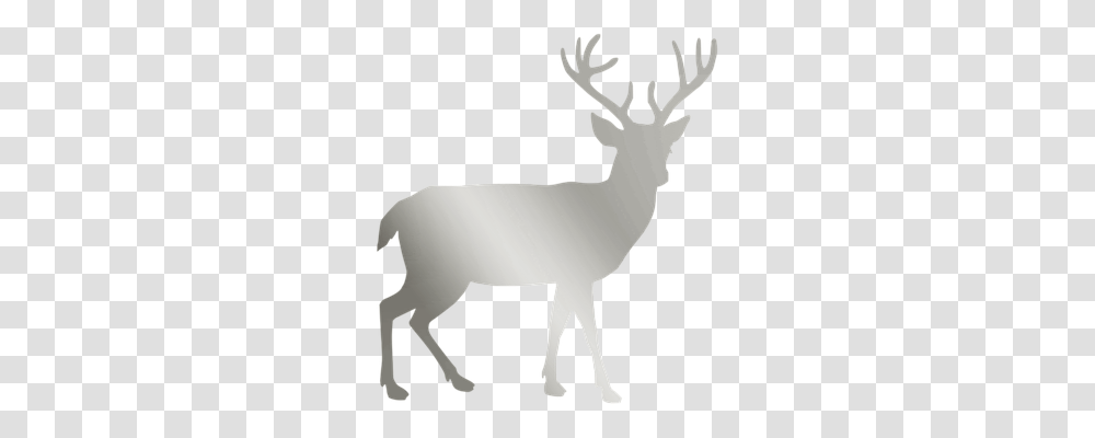 Silver Holiday, Deer, Wildlife, Mammal Transparent Png