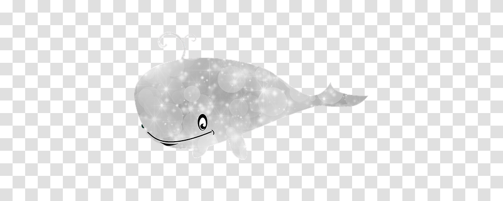 Silver Animal, Mammal, Sea Life, Whale Transparent Png