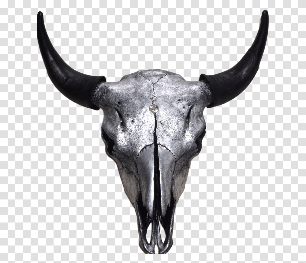 Silver Bison Skull Horn, Bull, Mammal, Animal, Longhorn Transparent Png
