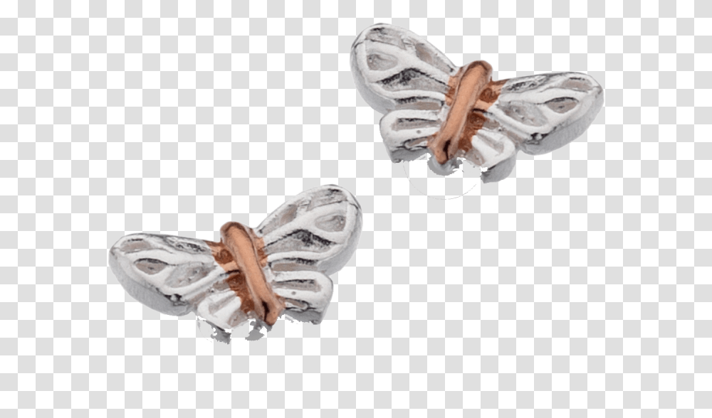 Silver Butterfly Studs With Rose Gold By Sea Gems Milkweed Butterflies, Accessories, Accessory, Jewelry, Person Transparent Png