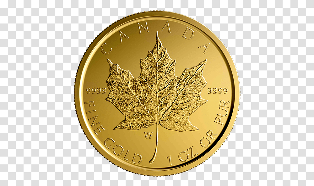 Silver Coin, Money, Gold, Leaf, Plant Transparent Png