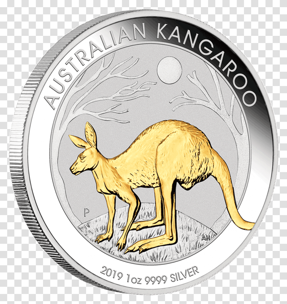 Silver Coin, Money, Mammal, Animal, Lion Transparent Png